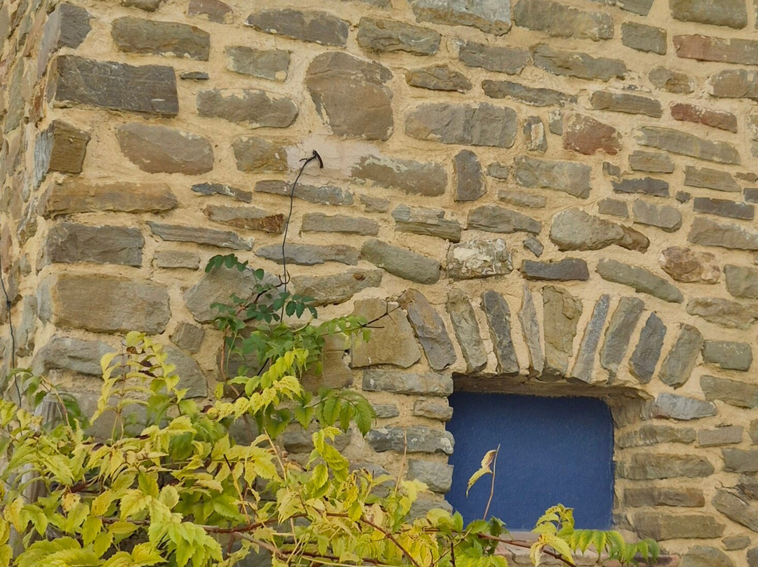 Domaine De Damian主图