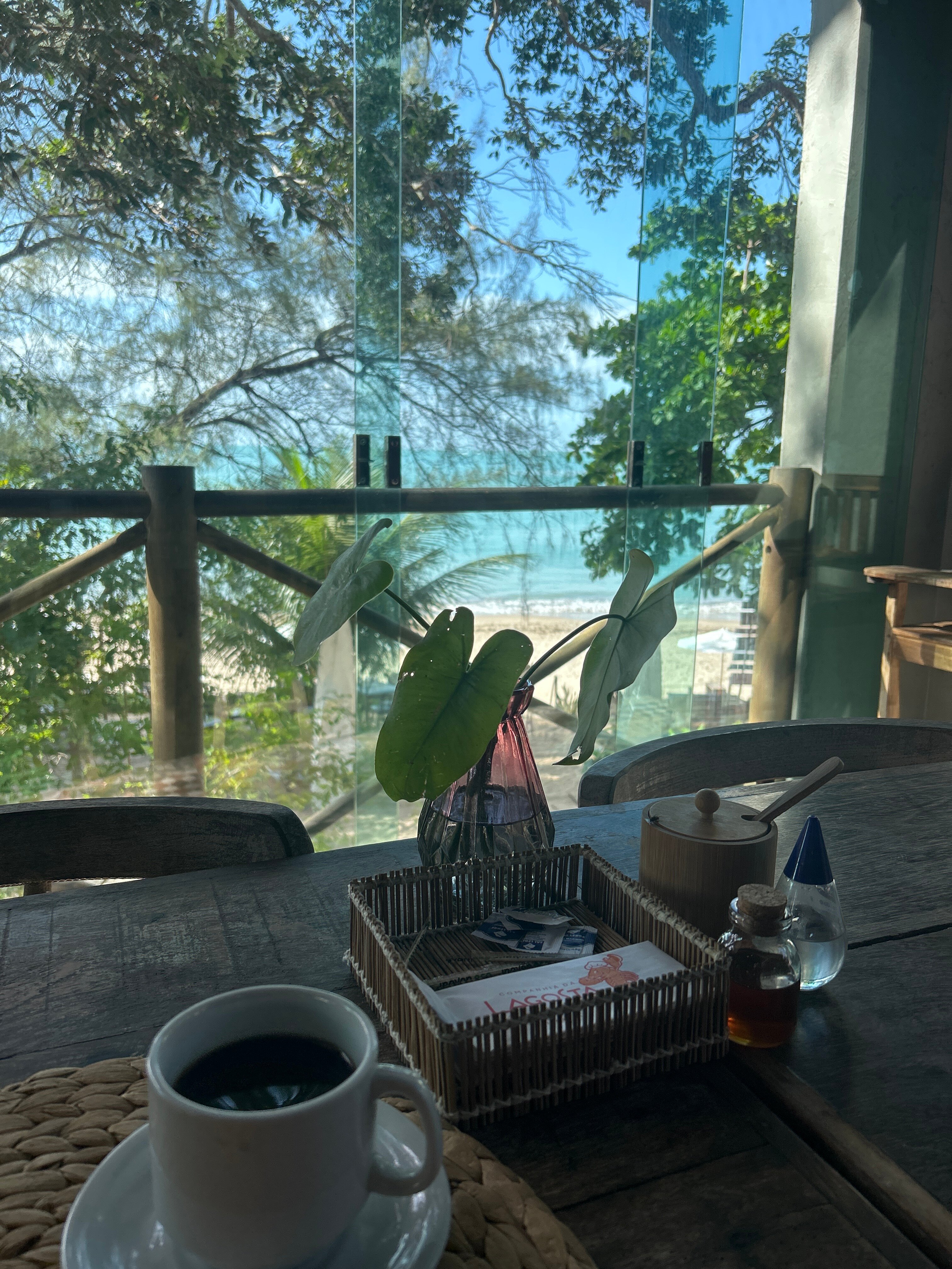 维拉泰帕旅馆-旅行者