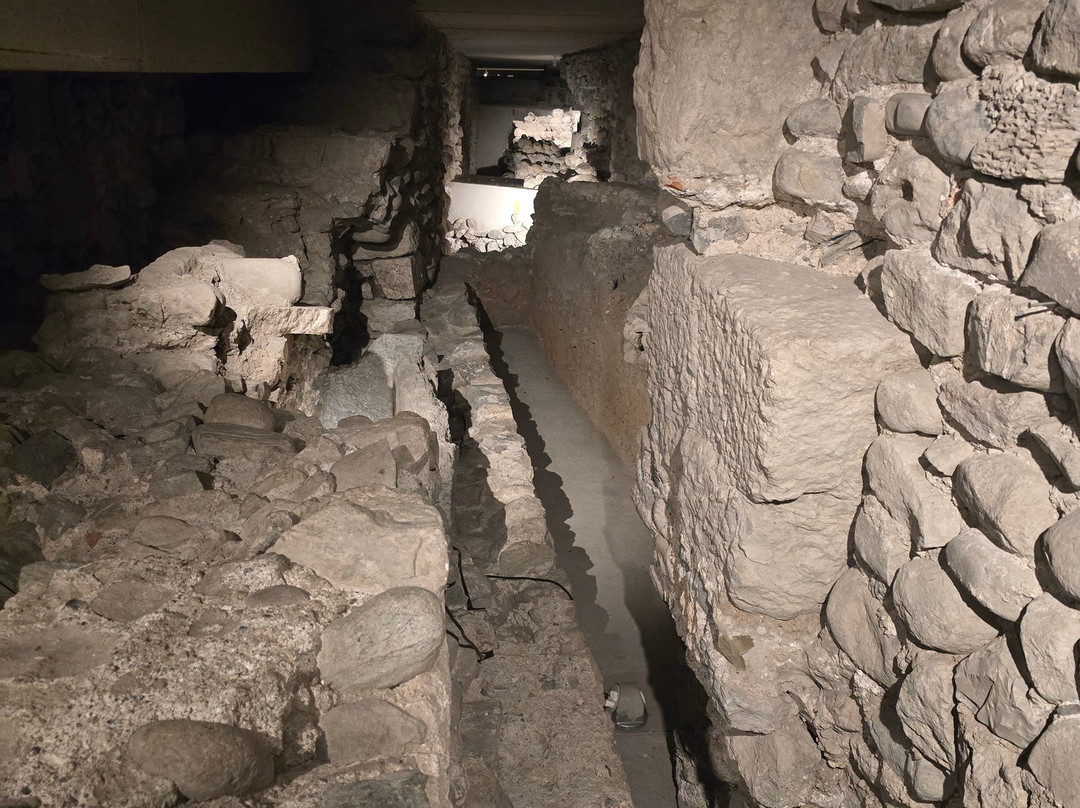 Site archéologique de la Cathédrale Saint-Pierre de Genève-日内瓦必去景点