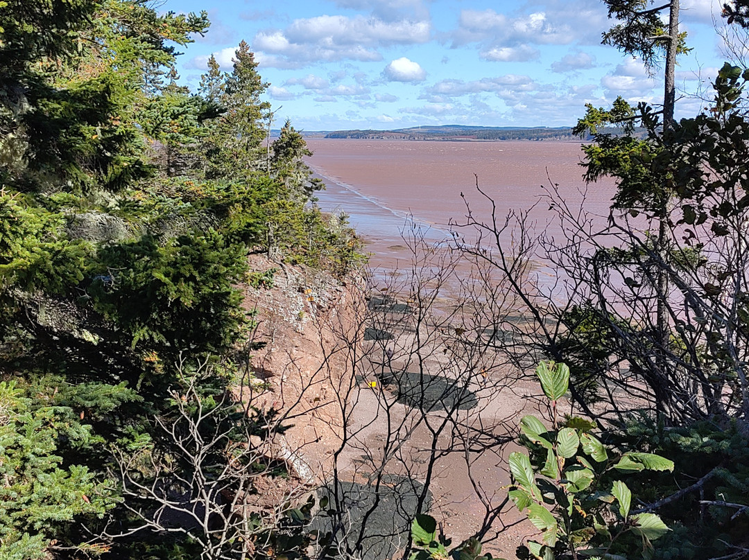 Hopewell Rocks-霍伯威尔角必去景点