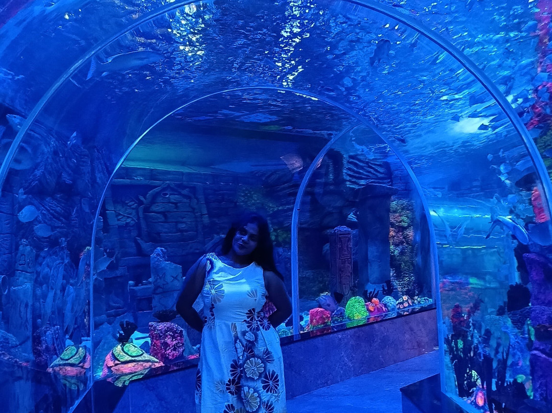 Aquarium Paradise-班加罗尔必去景点
