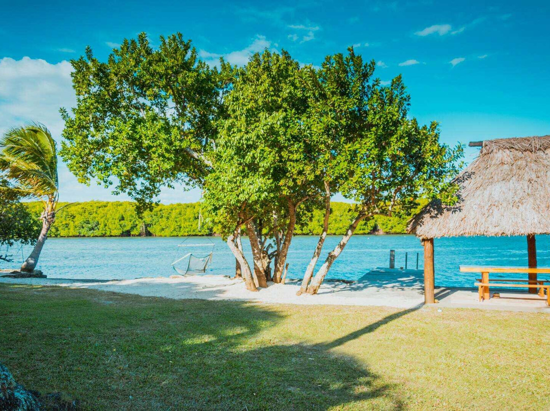 Qoqo Island Resort