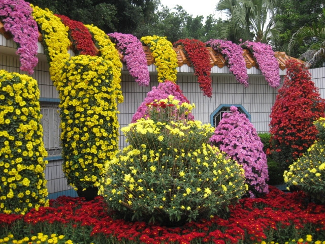 深圳东湖公园-深圳市必去景点