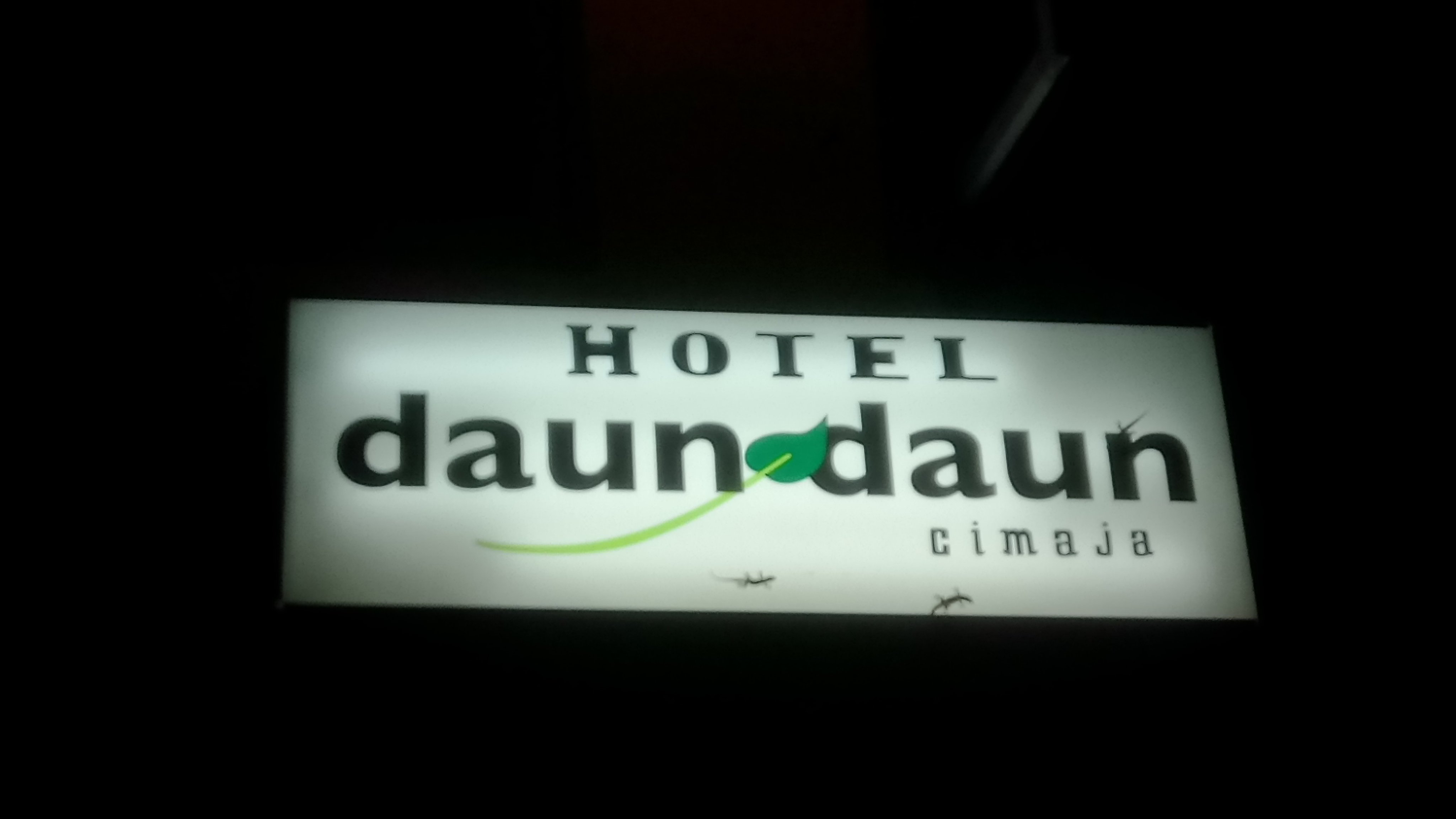 Daun Daun-官方