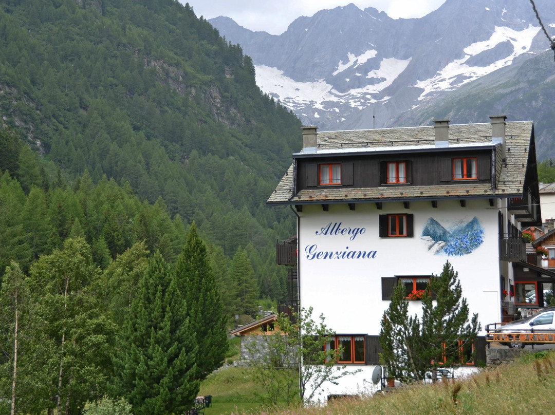 Chiesa In Valmalenco酒店住宿-Hotel Genziana