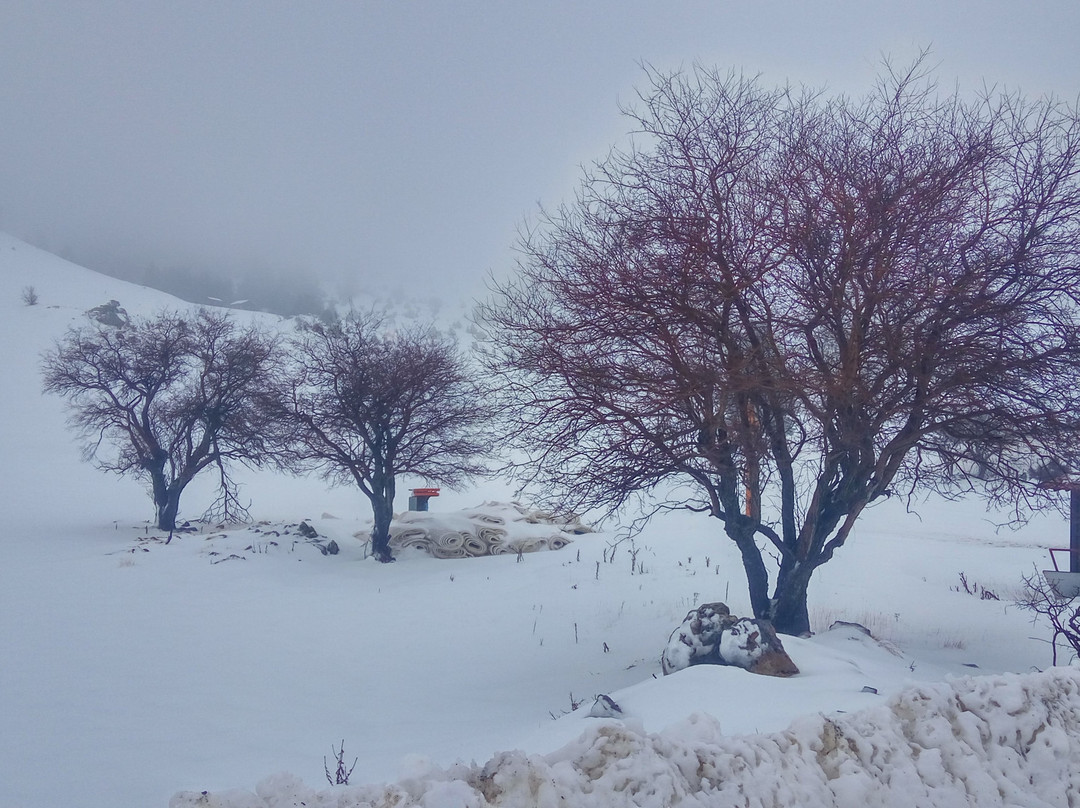 Mainalo Ski Resort