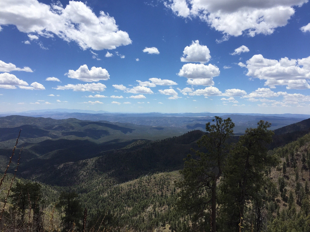 Coronado Trail - National Scenic Byway景点图片