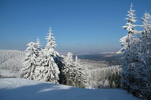 Halleiner Haus-官方