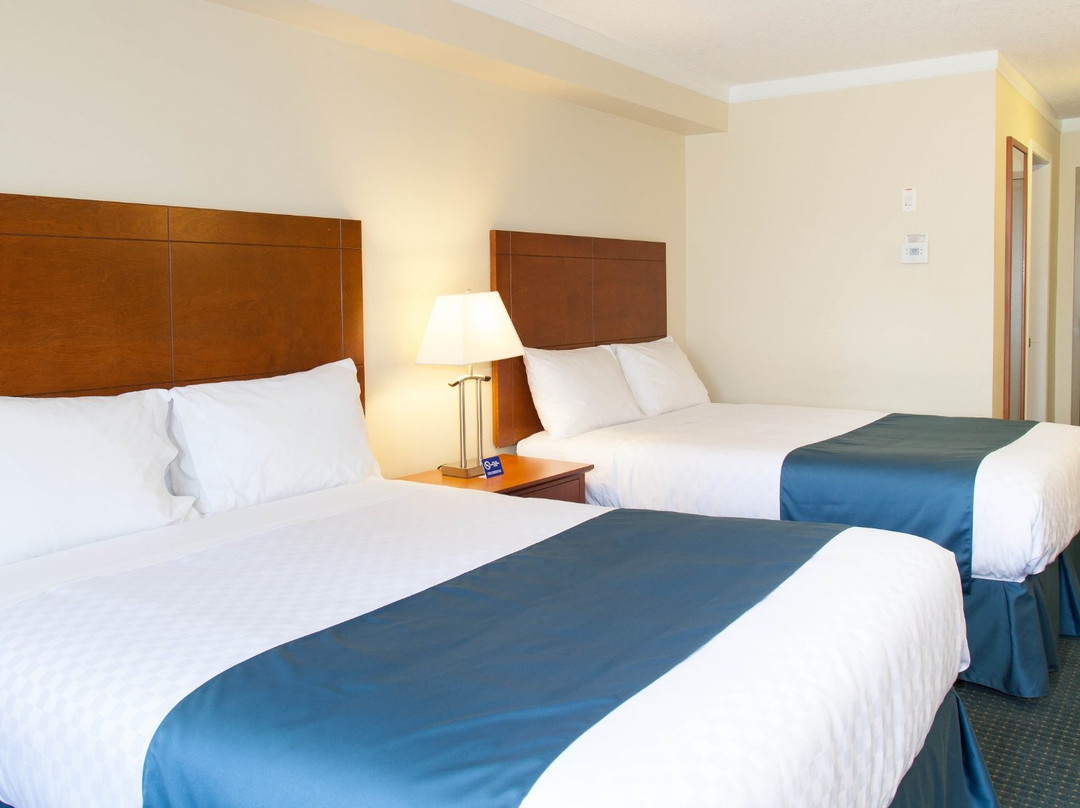 兴顿酒店住宿-Hinton Lodge