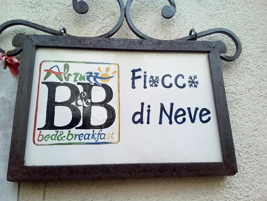 Fiocco di Neve主图