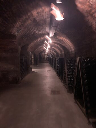 Berlucchi Winery景点图片