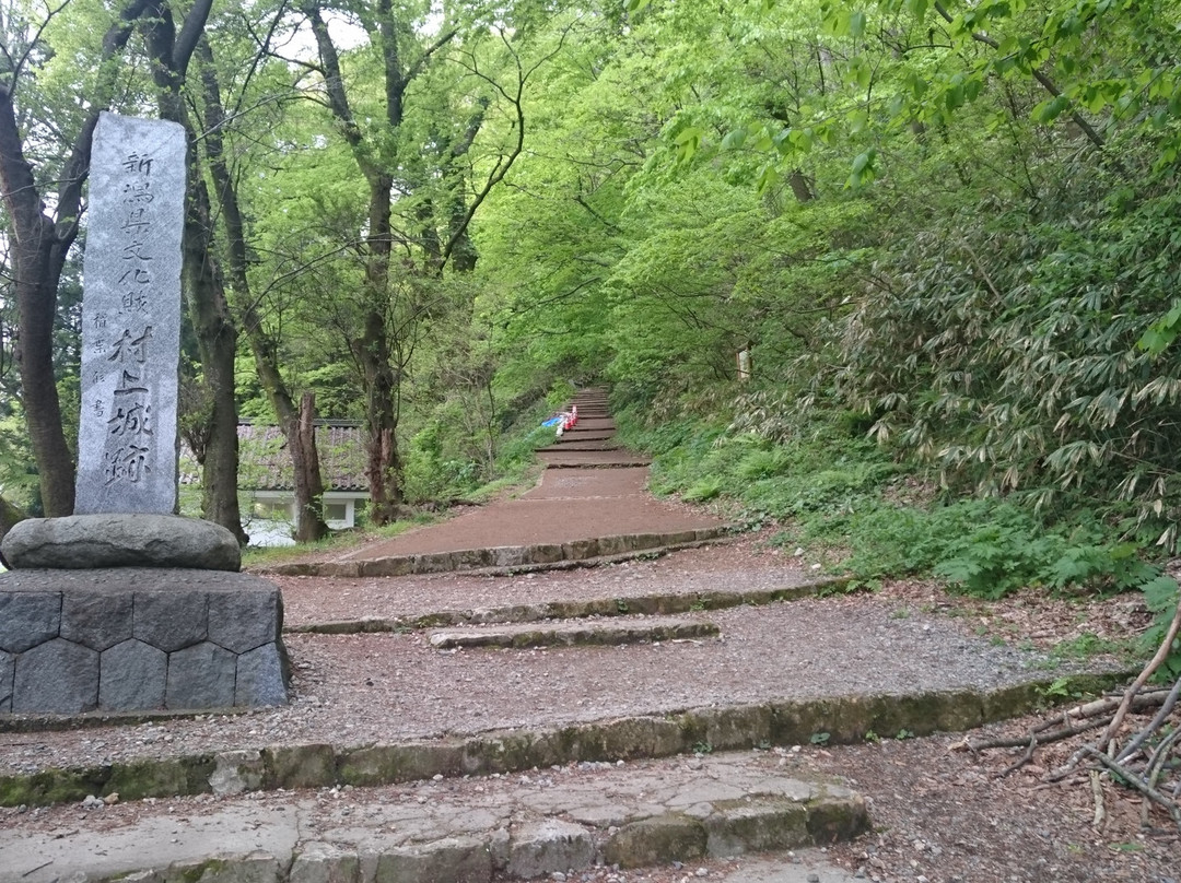 The Ruins of Murakami Castle景点图片