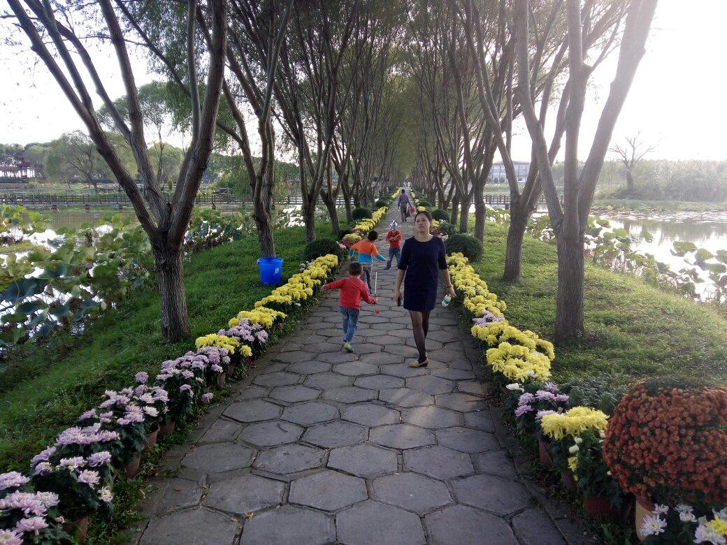 蓝田生态旅游风景区-洪湖市必去景点