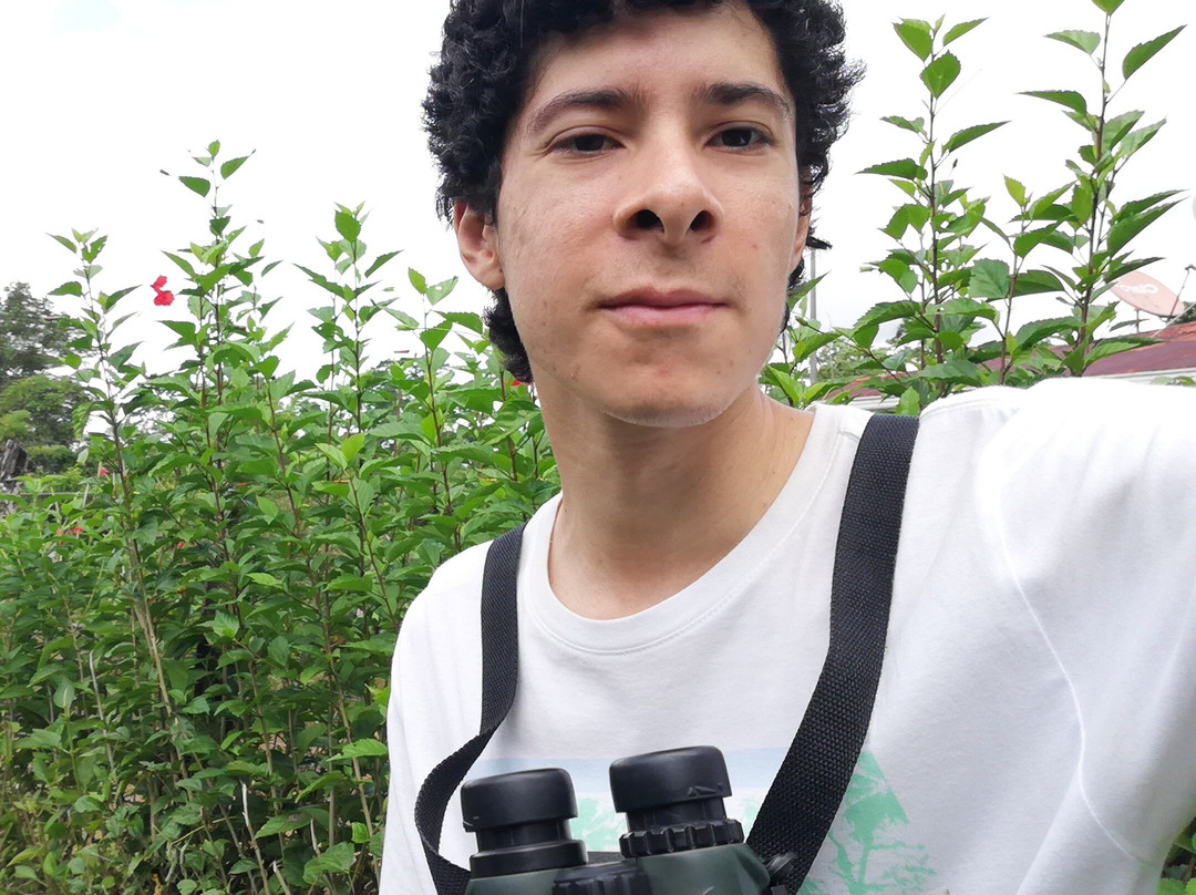 Jean Franco Segura Prendas