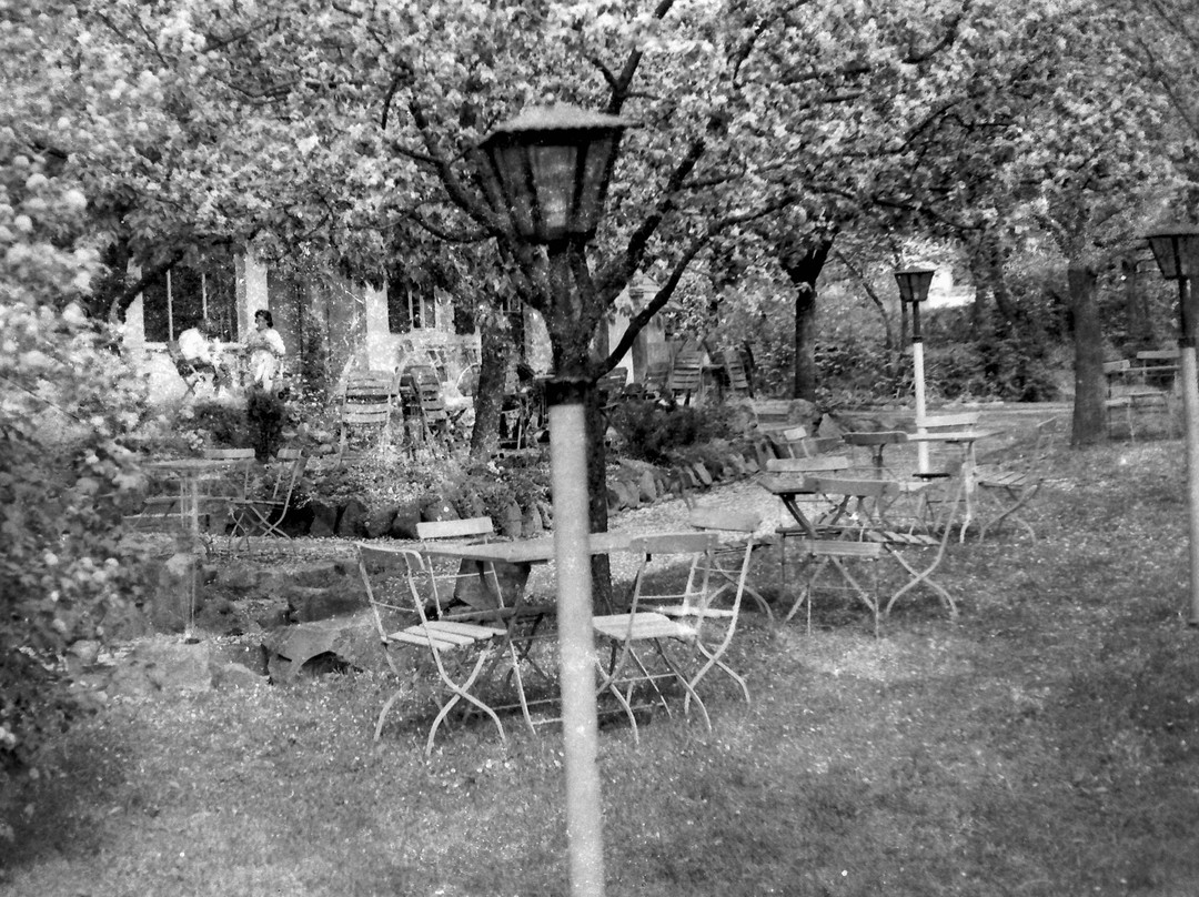 Hotel Garni & Parkcafé Reuter