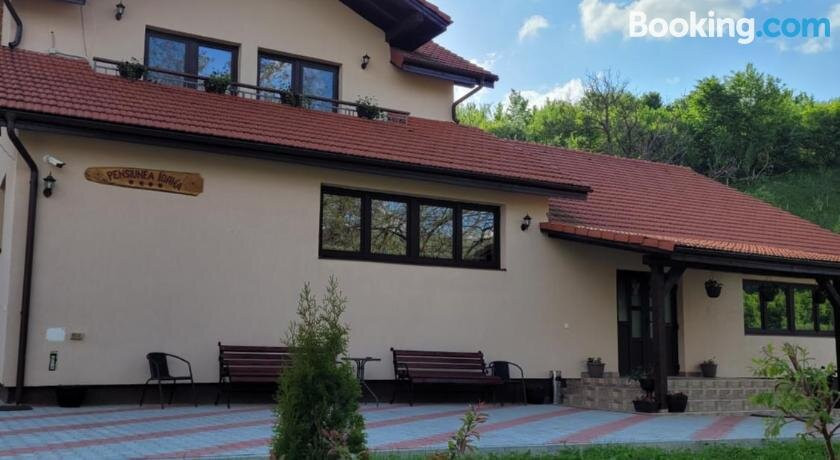 Pensiunea Ioana主图