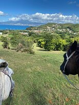 Ranch Jack-Trois-Ilets必去景点