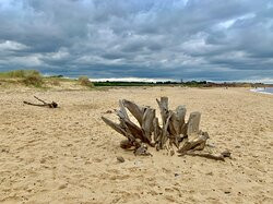 Covehithe Beach-Beccles必去景点