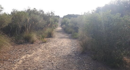 Nature Parc of S'Albufera des Grau-米诺卡必去景点