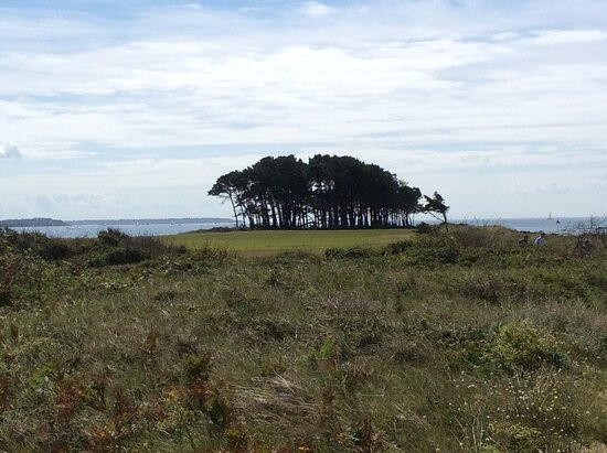Parc Naturel Régional du Golfe du Morbihan景点图片