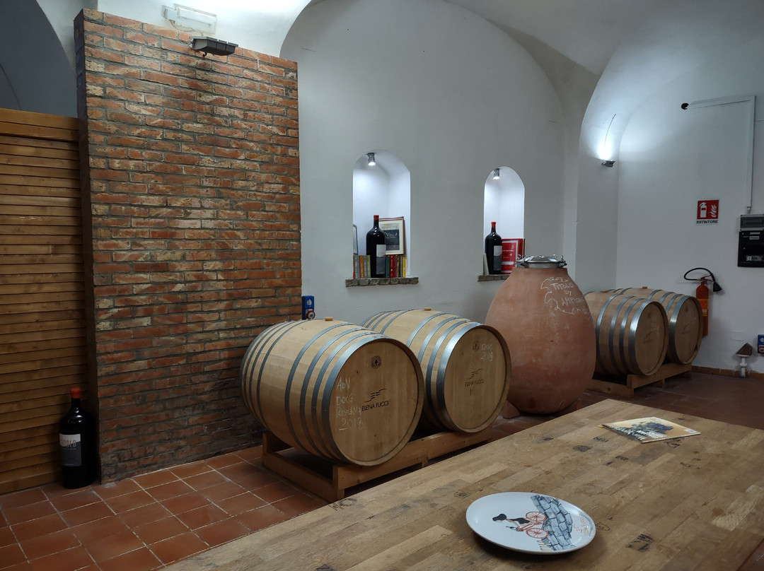 Azienda Agricola Elena Fucci景点图片