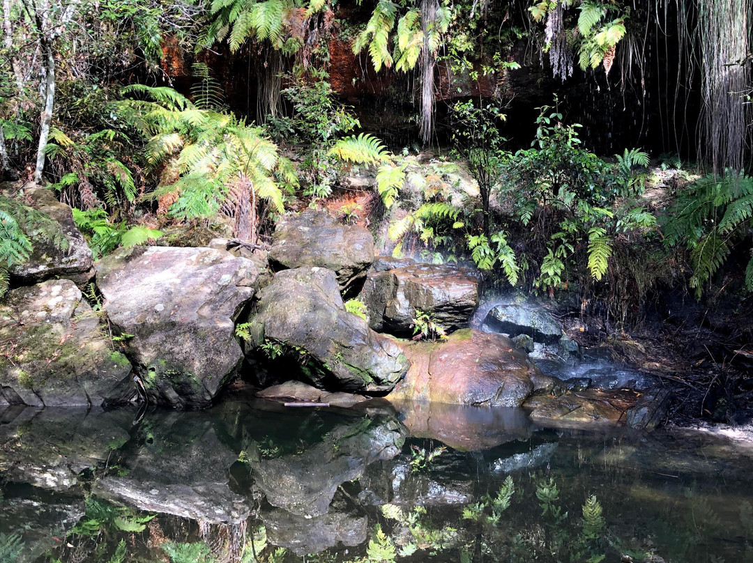 Mabel Falls Woodford