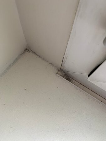 Hotel Mercure Trouville Sur Mer-客卧