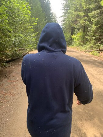 Skagit Valley Provincial Park-霍普必去景点