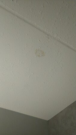 Hampton Inn & Suites by Hilton Waterloo St. Jacobs主图