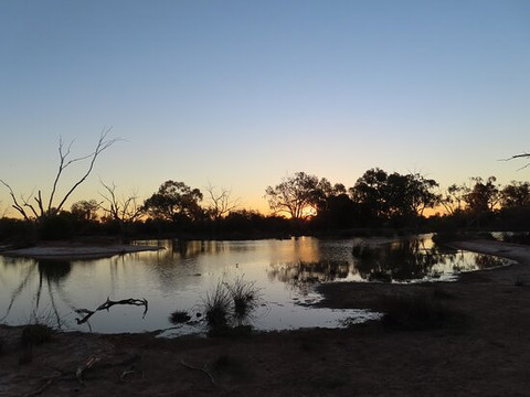 Bowra Wildlife Sanctuary-Cunnamulla必去景点