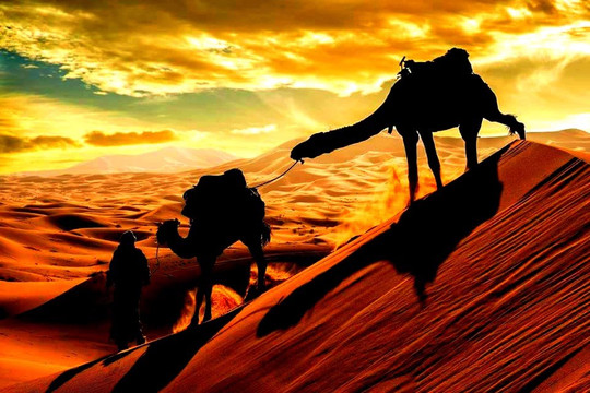 Morocco Excursions-马拉喀什必去景点