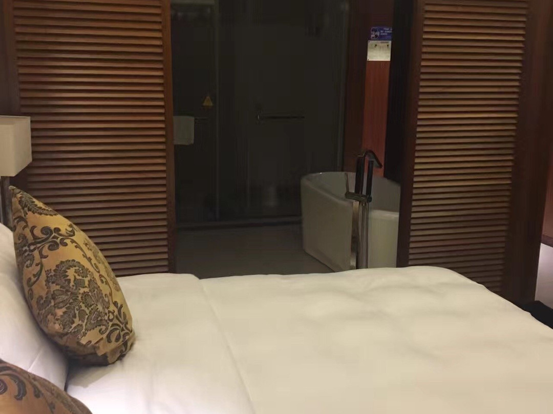 国龙大酒店主图