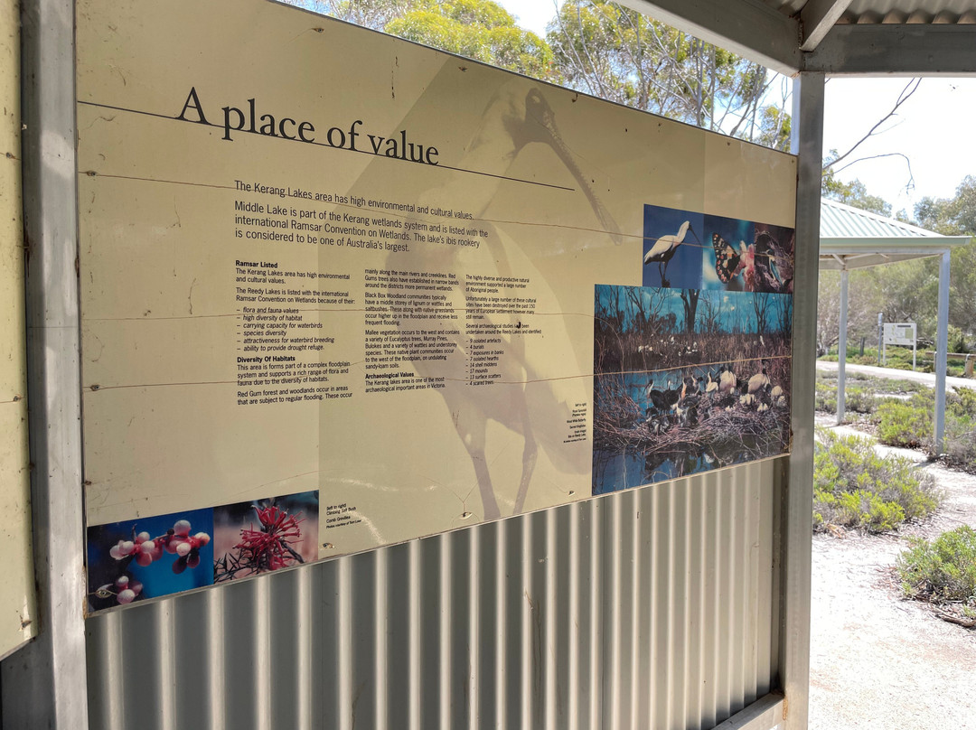Middle Lake Ibis Rookery