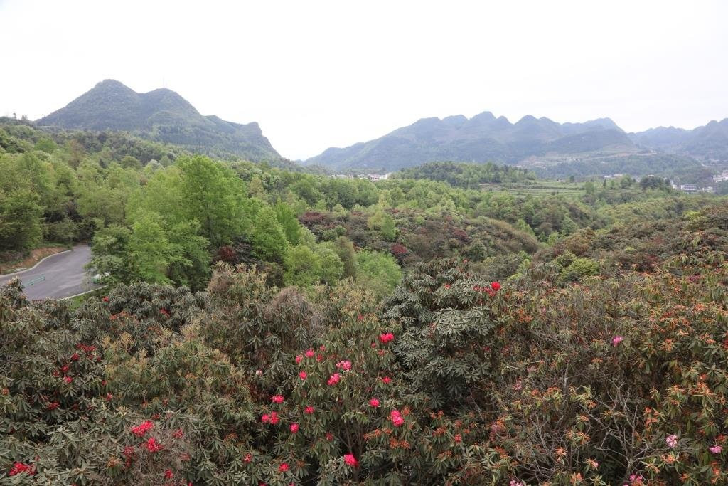 毕节旅游攻略图片