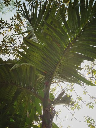 Lokenath Eco Village Resort主图