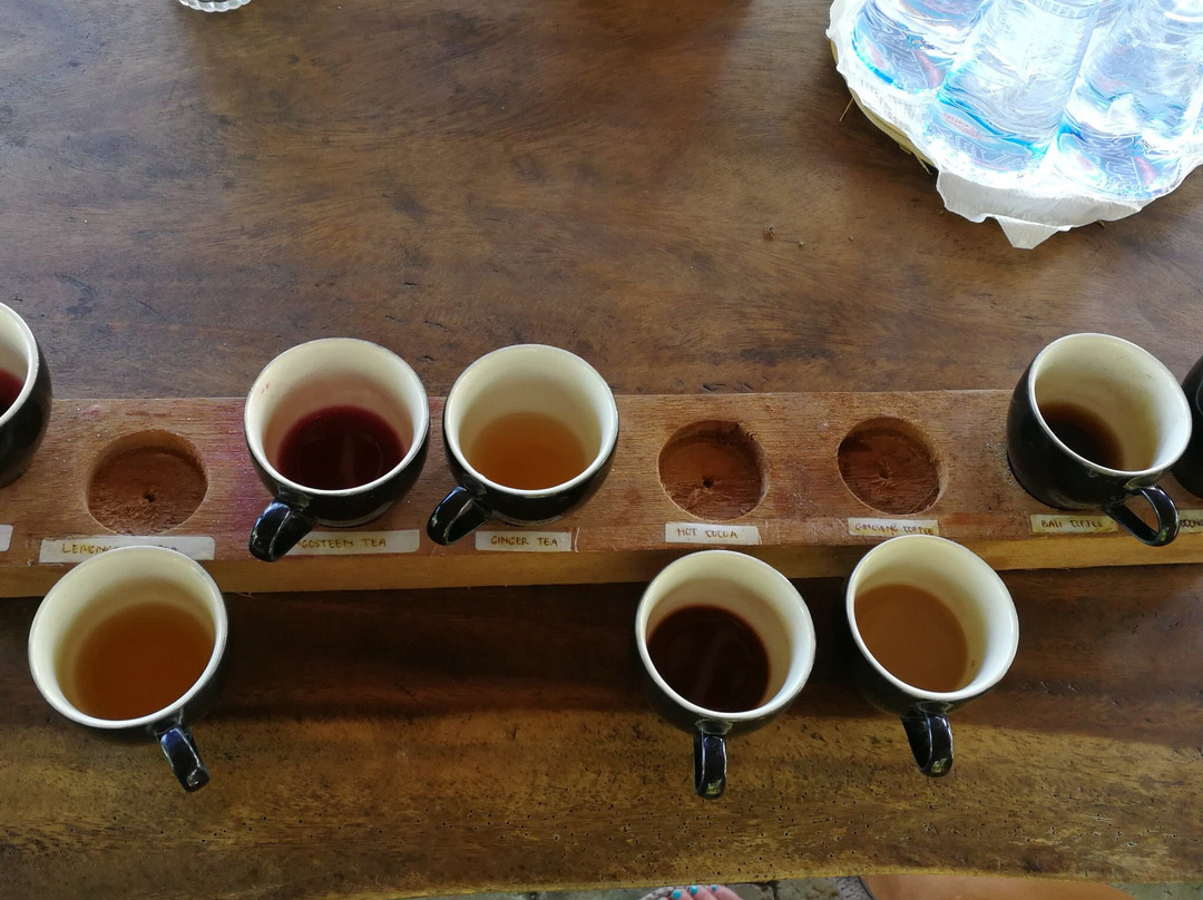 Kemenuh旅游景点-Kampung Kopi Kemenuh