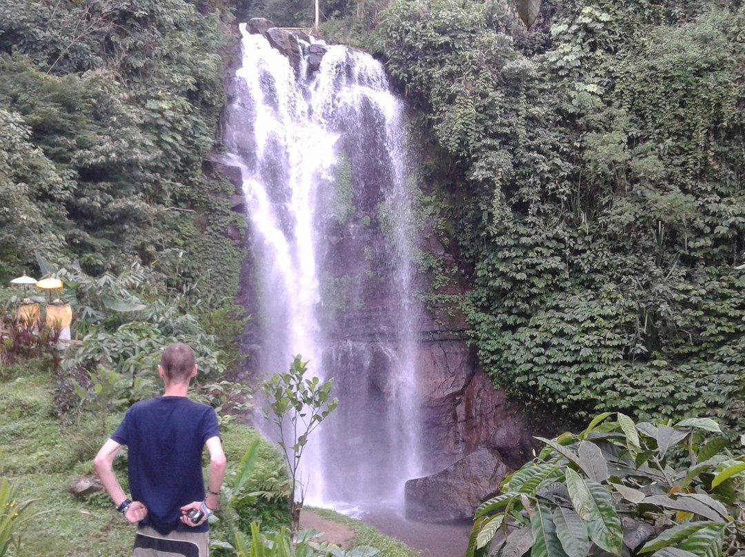 Bali Tour Provider景点图片