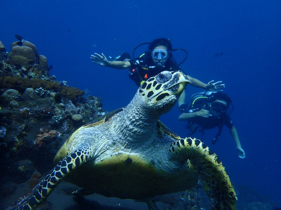 Tulamben Dive-图兰本必去景点