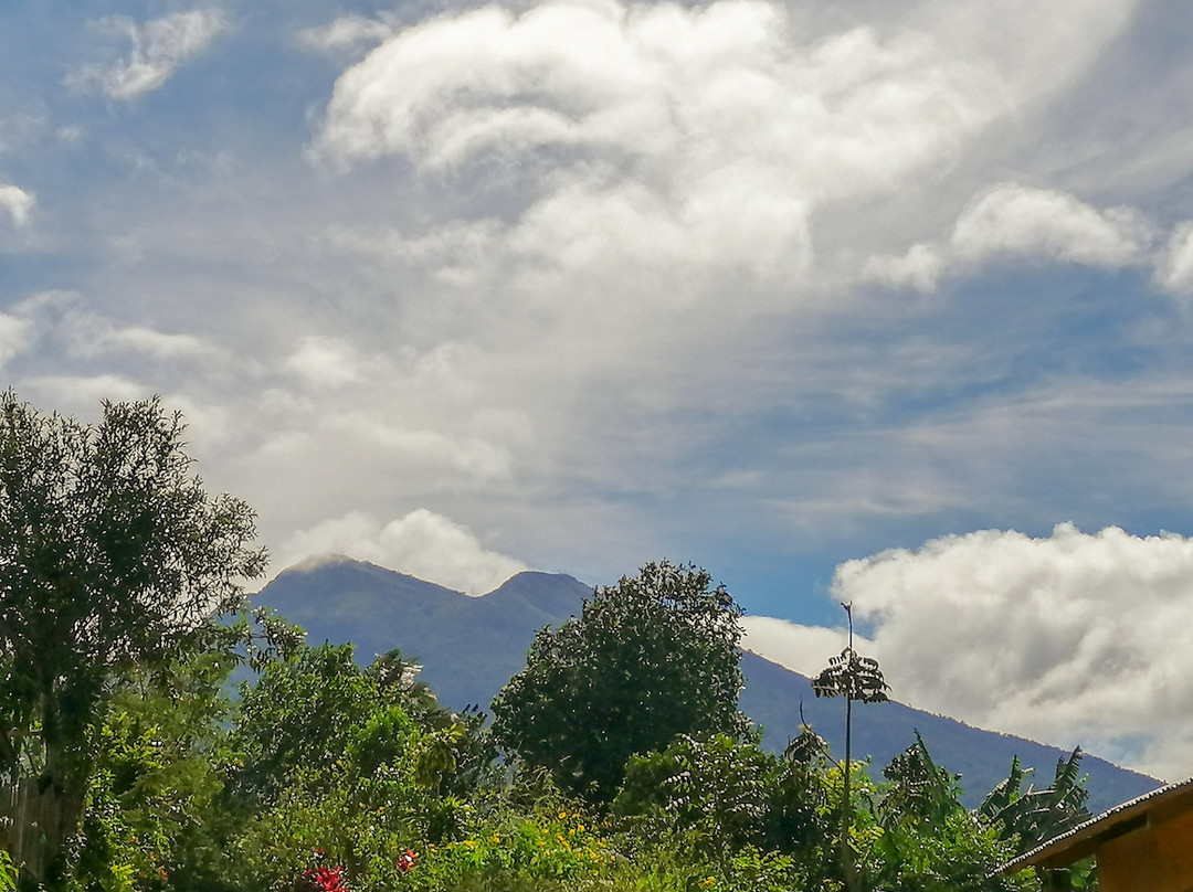 Mount Kitanglad景点图片