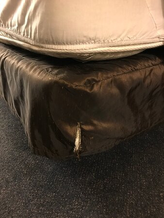 Comfort Suites University主图