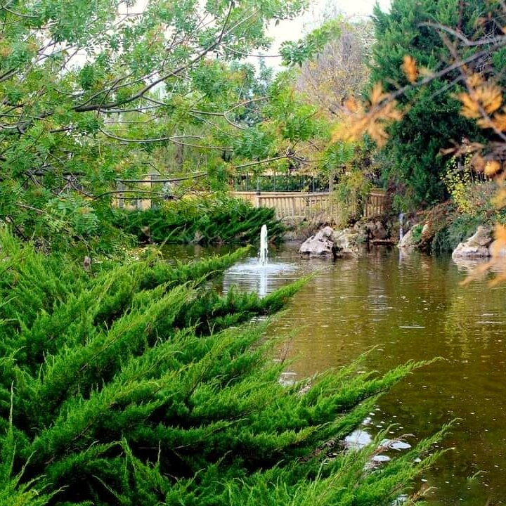 Parque Del Calvario景点图片