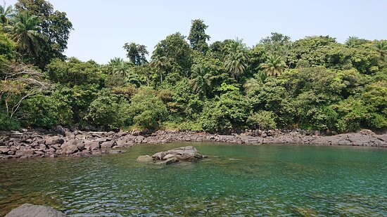 Tropical Island Adventure景点图片