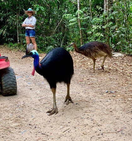 Kuranda Rainforest Journeys ATV Tours-凯恩斯必去景点