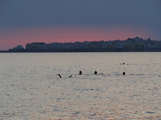 Lido Por do Sol-Baia Verde必去景点