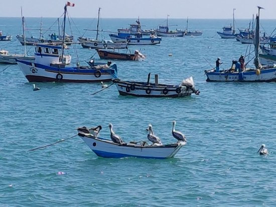 Puerto Velero-Organos必去景点