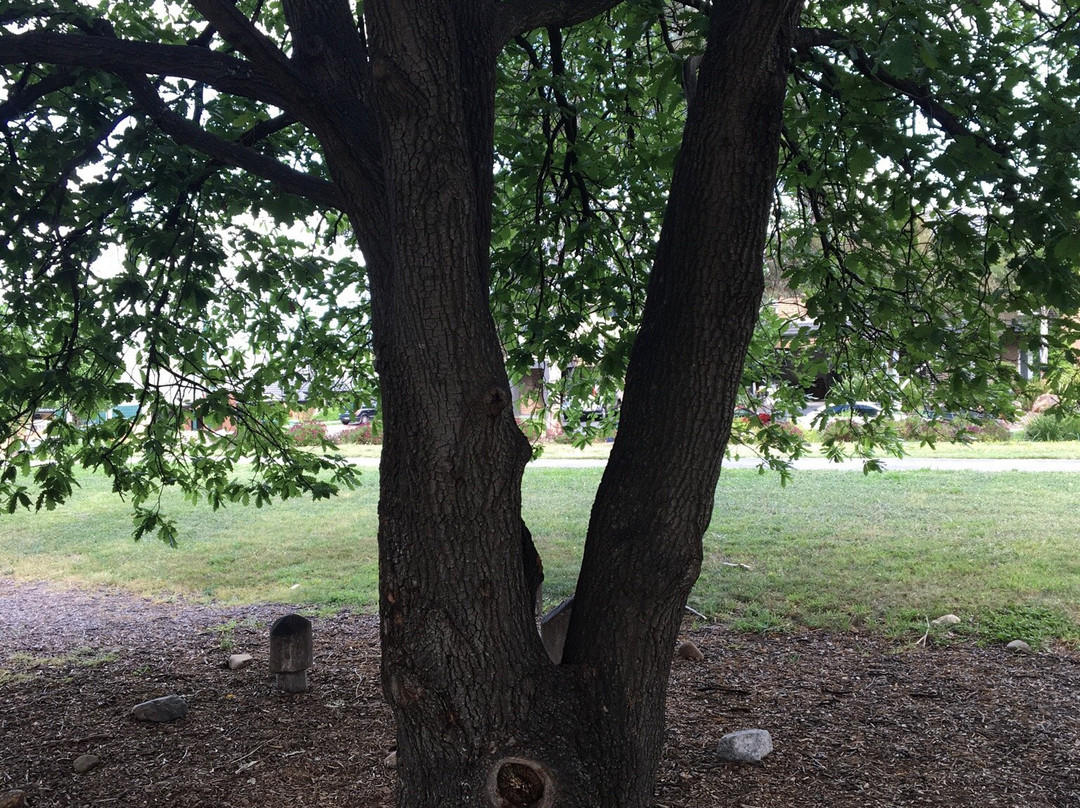 Bridgewater Boulevard Park-墨尔本必去景点