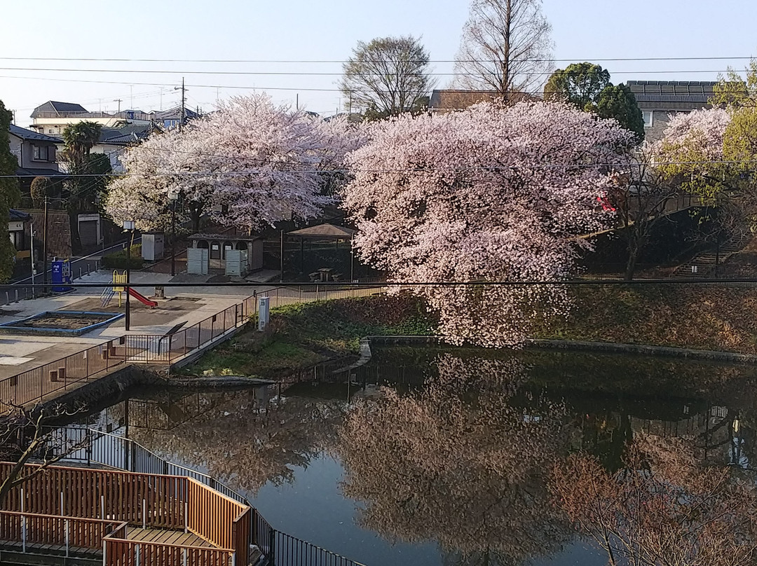 Tatsunodai Park景点图片