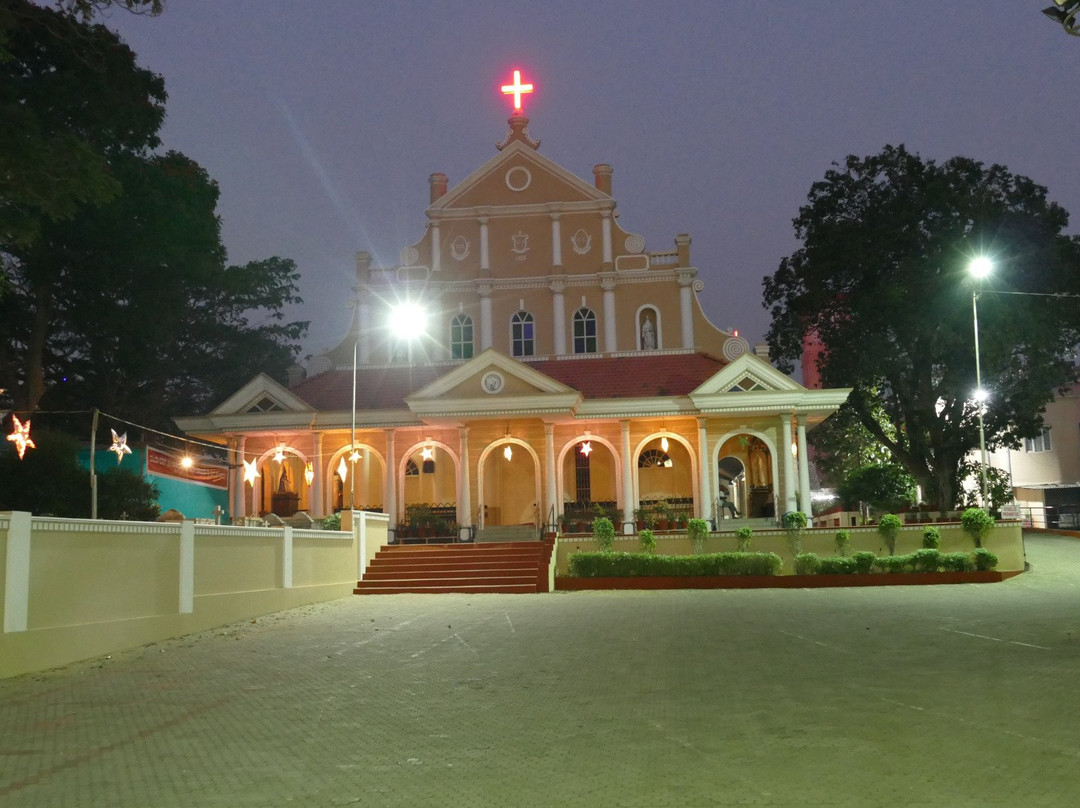 St. Francis Xavier Church景点图片