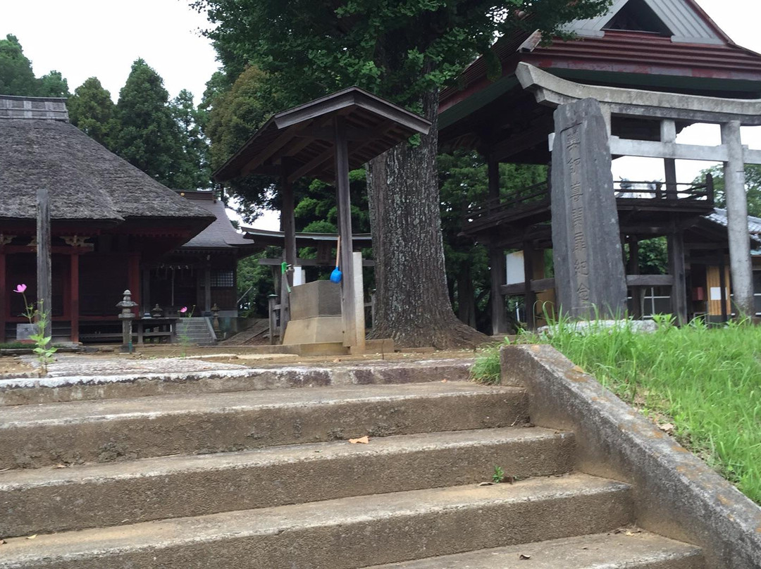 Eifukuji Temple Yakushido景点图片