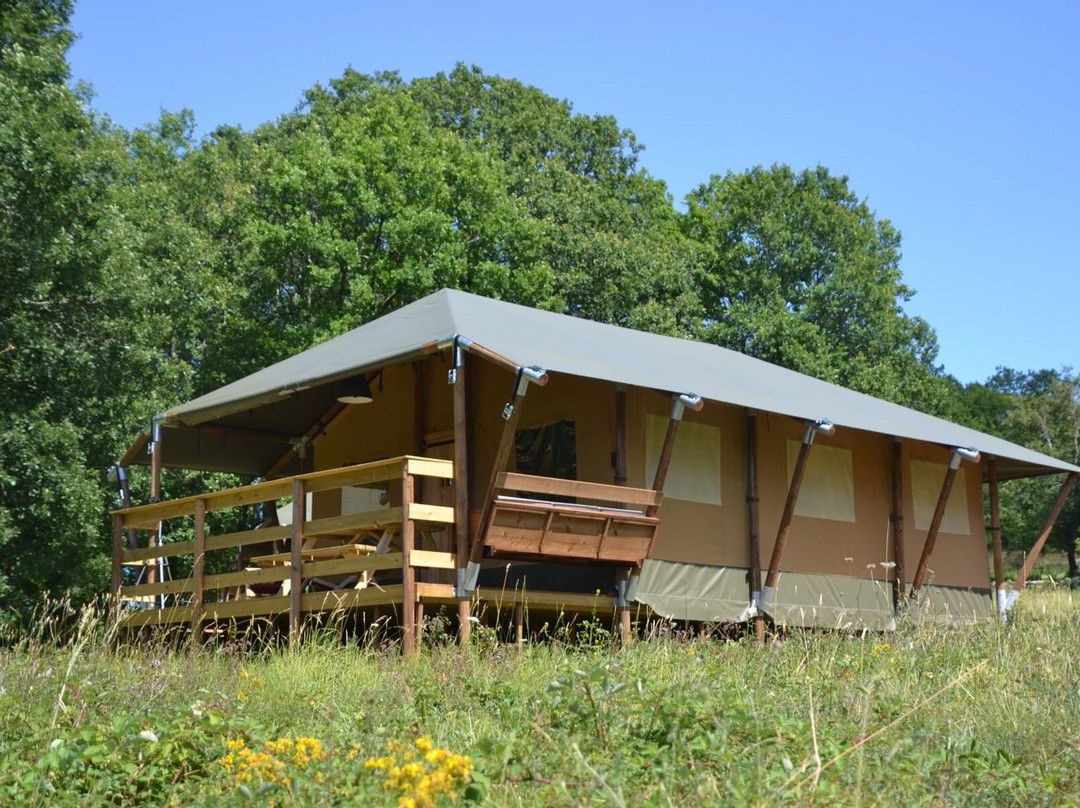 Modern Nomads